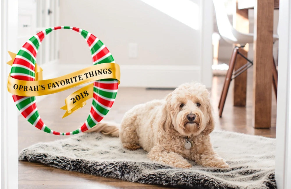 Oprah's Favorite Things 2018