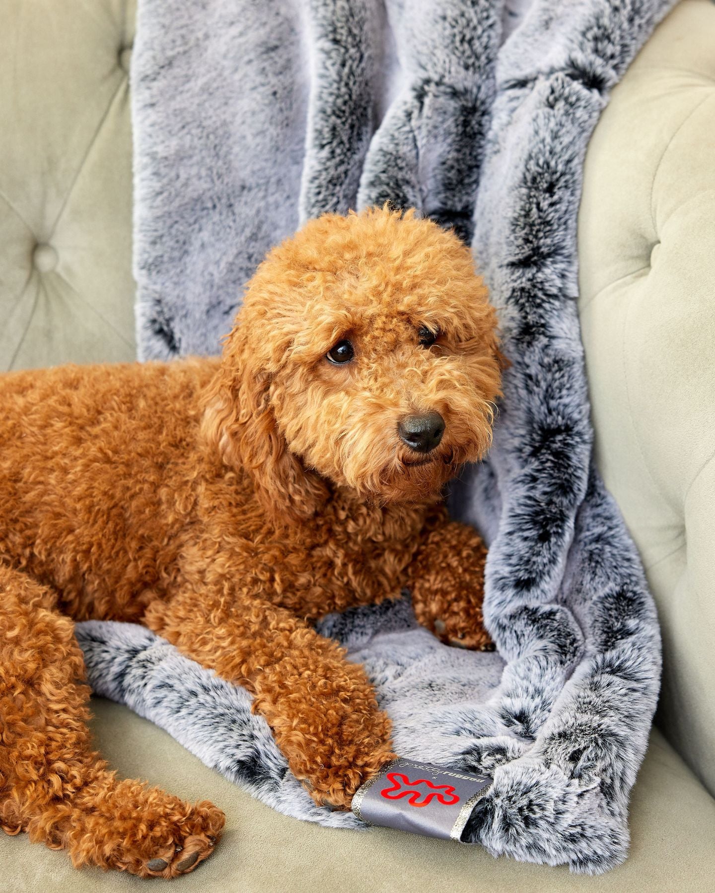 City Mink Lap Blanket by Apartment Therapy