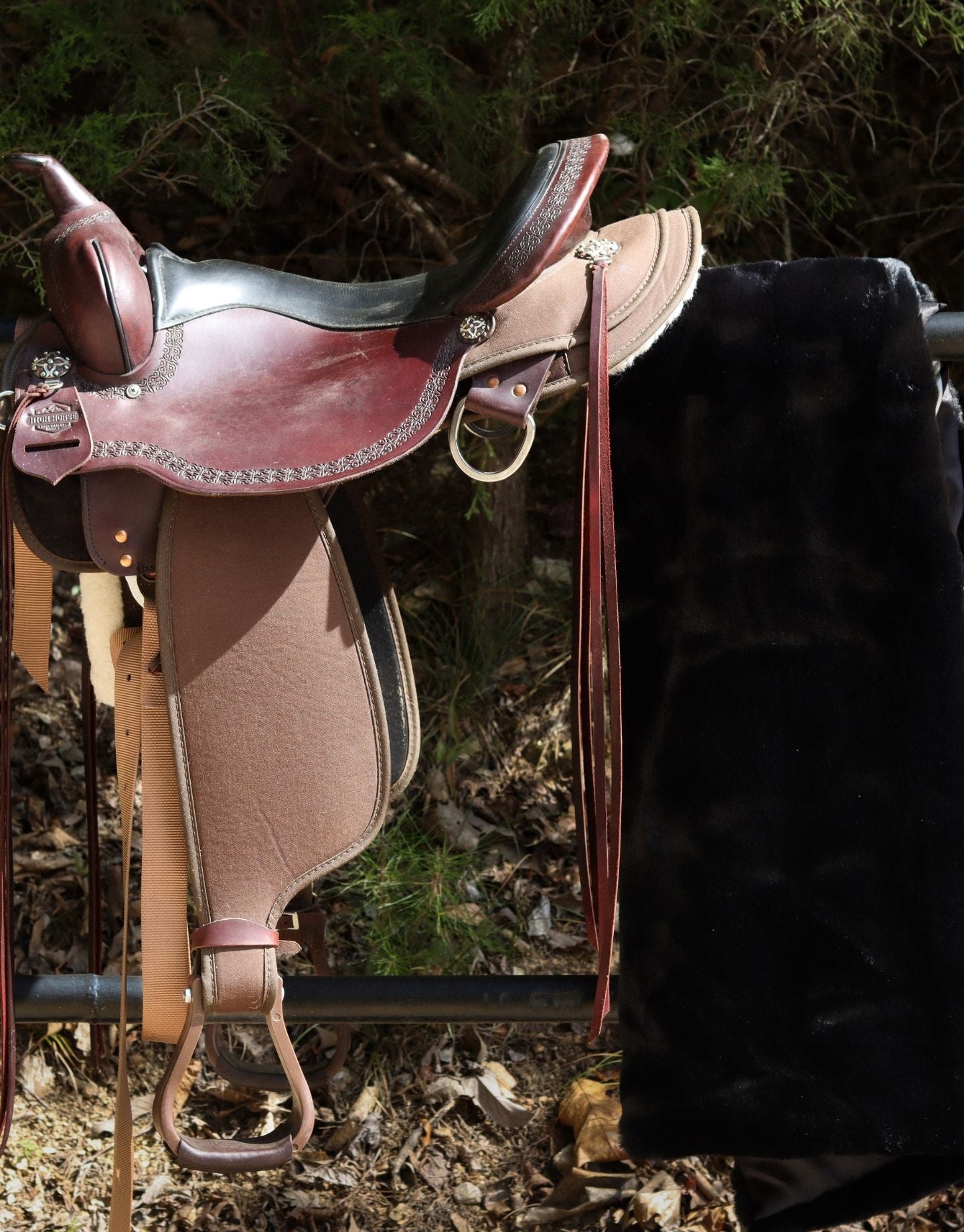 Black Equestrian Blanket