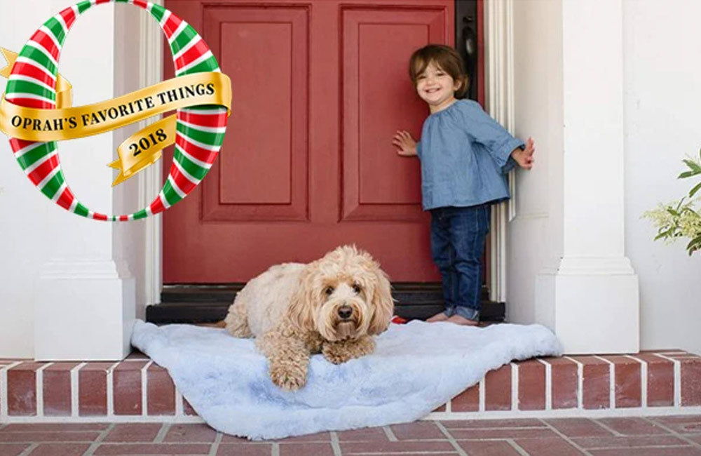 Newsweek: Oprah's Favorite Things 2018: 51 Fabulous Gift Ideas