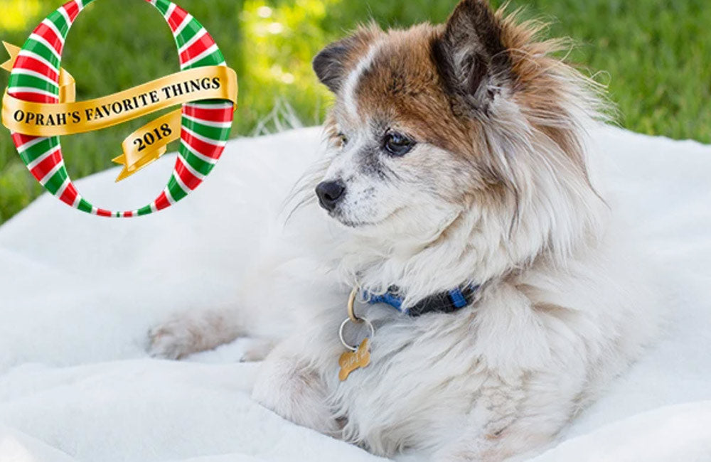 Apartment Therapy: Oprah's Favorite Things Includes Lots of Gifts for Home (and a DNA Test for Your Dog)