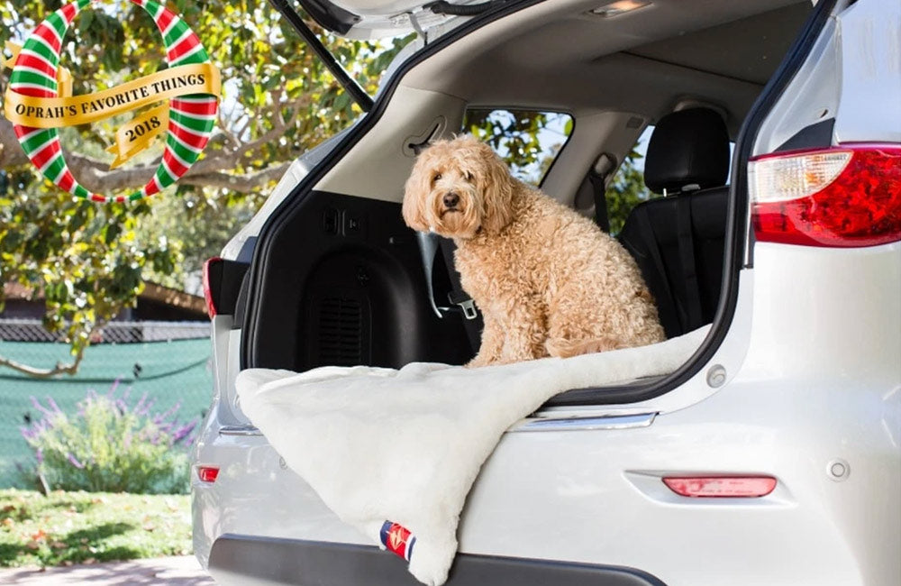 imbringingblogingback.com: 56 of the Coolest Things on Oprah’s Favorite Things List We’re Totally Buying