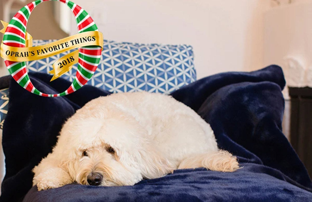 POP SUGAR: Oprah Just Announced Her Favourite Things For the Year! See All of the Coziest Gifts Right Here