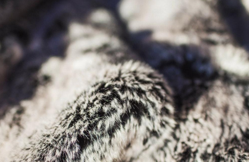 Persistence pays off for creator of all-weather blanket