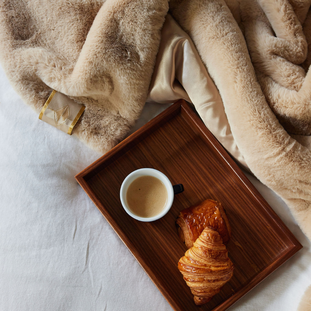 Ugg indoor outdoor blanket hotsell