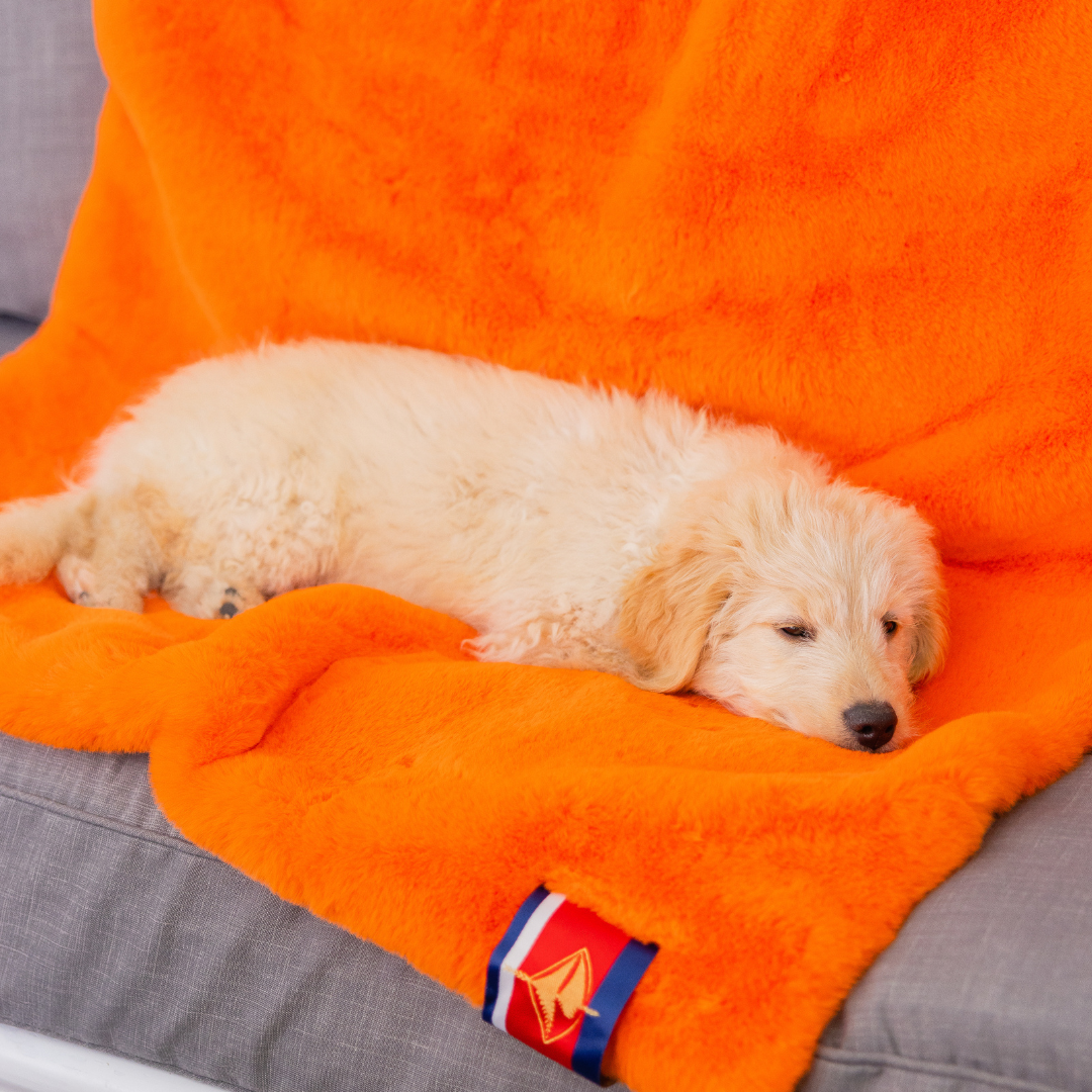 Orange faux fur blanket sale